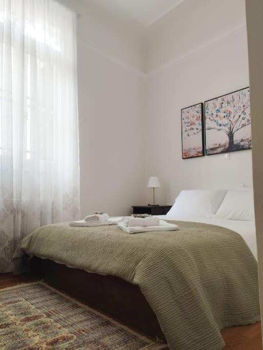 Calliope'S Neoclassical Home In The Heart Of Plaka Афины Экстерьер фото